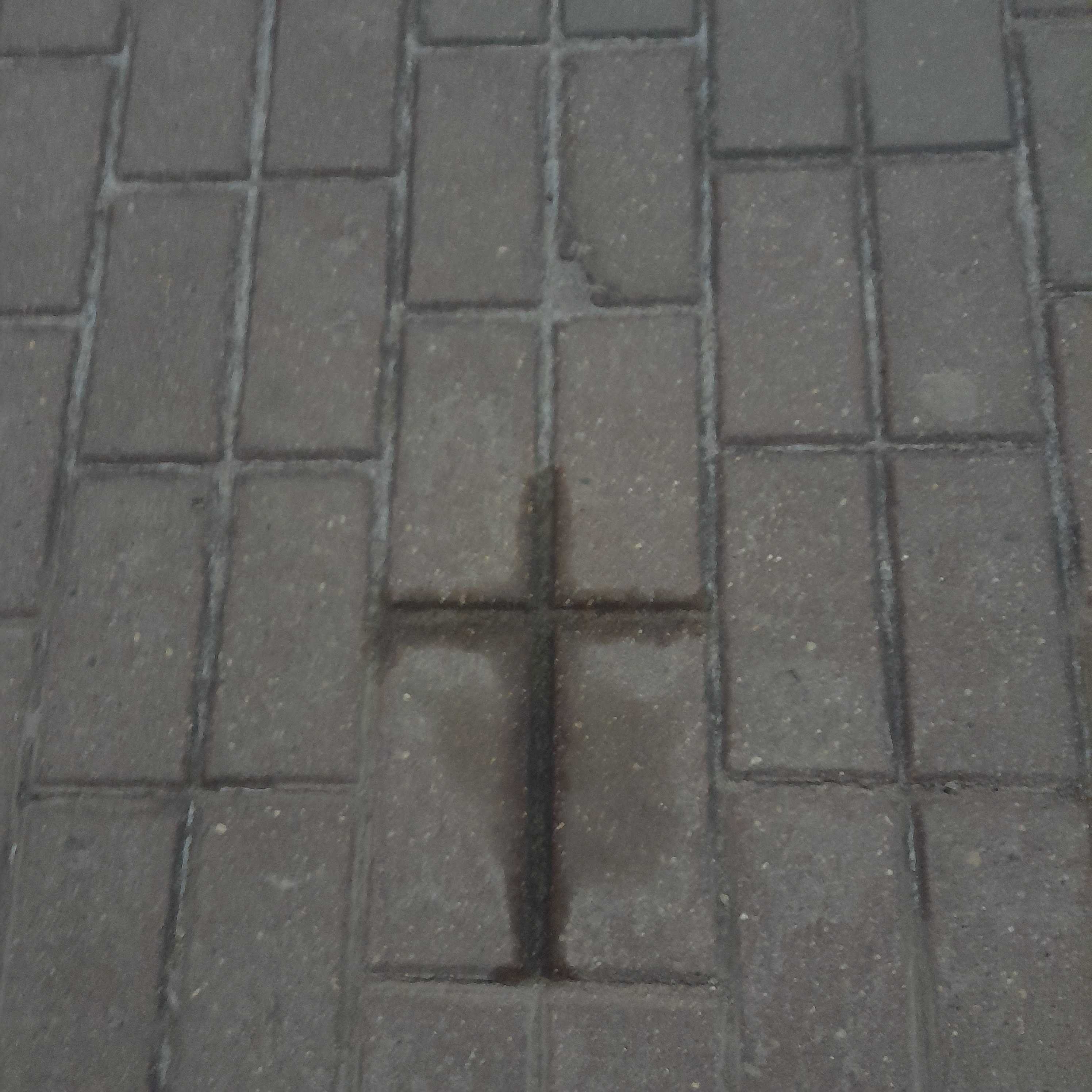 cross that saves you